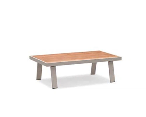 20230z low table.jpg 20230z low table.jpg